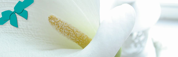 Frieseur Neustadt Gutschein